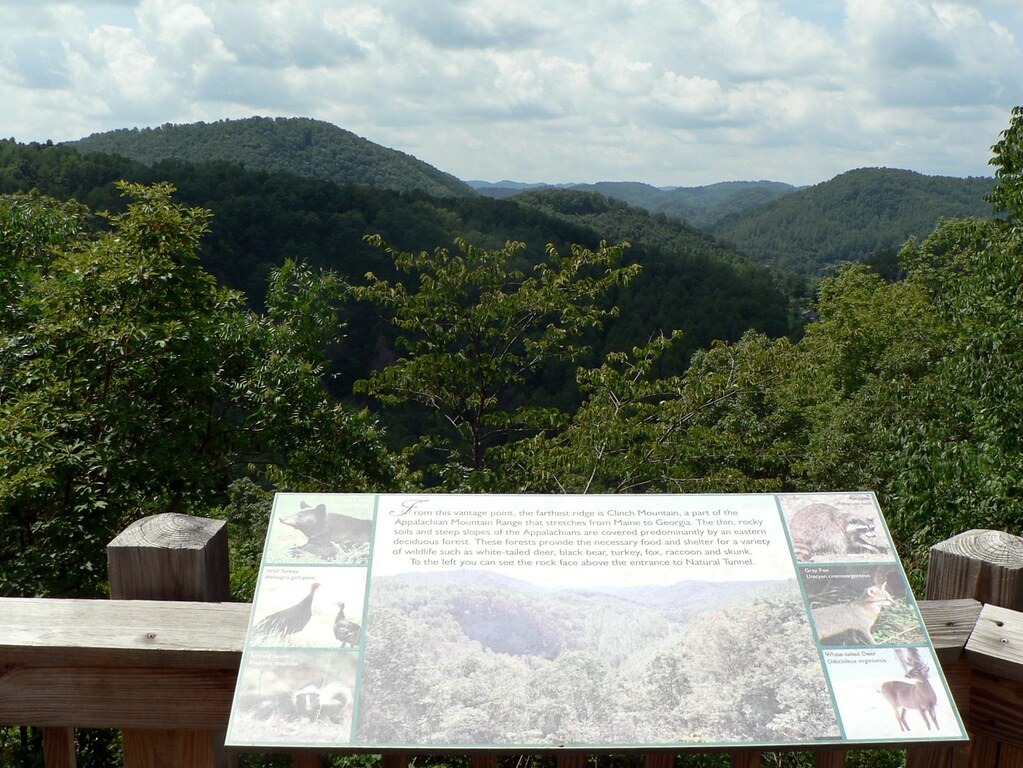 NT020591 Cove Ridge Center from Don Byrne Virginia State Parks Flickr