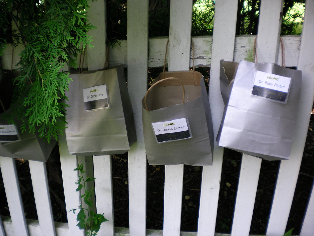 SANY0427 Science Goodie Bags heather_kern Flickr