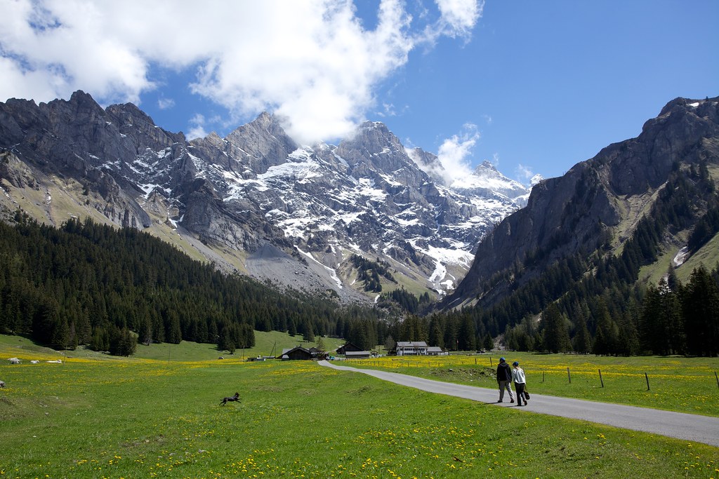 Gryon Switzerland 19 Duncan Rawlinson Duncan.co Flickr