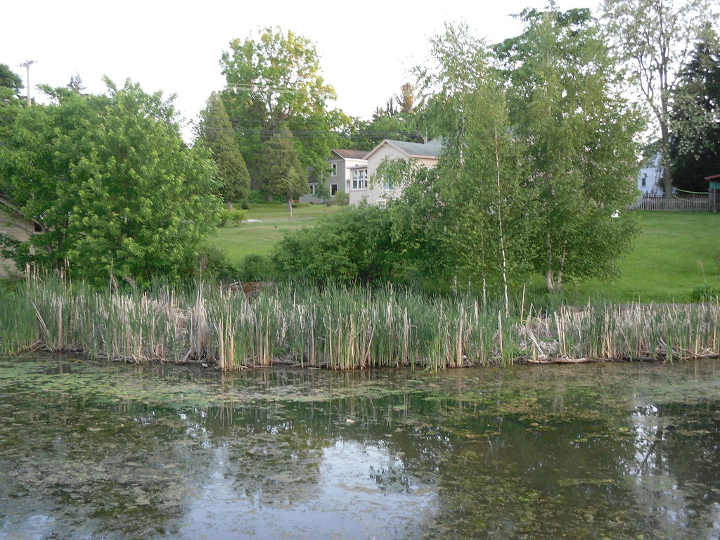 Fair Haven, New York Fair Haven, New York Doug Kerr Flickr