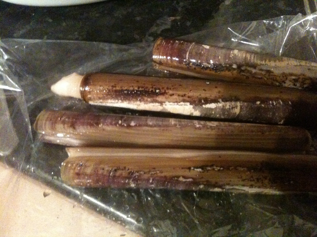 Razor clams, still alive Seeing the animal move in and out… Flickr