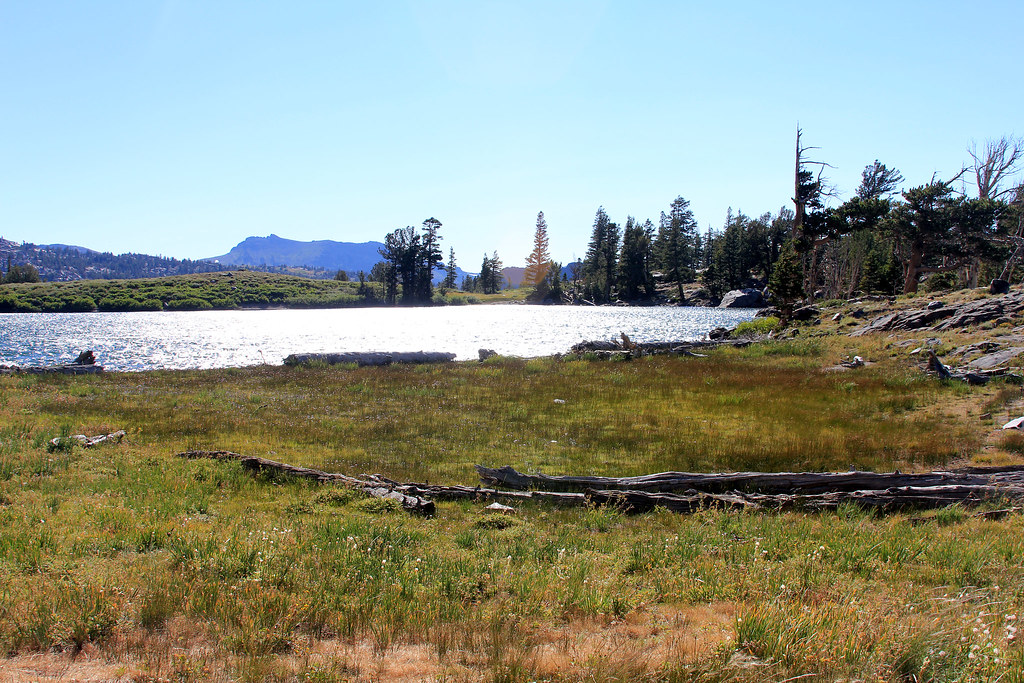 frog lake standing on the north end of the lake, where the… Flickr