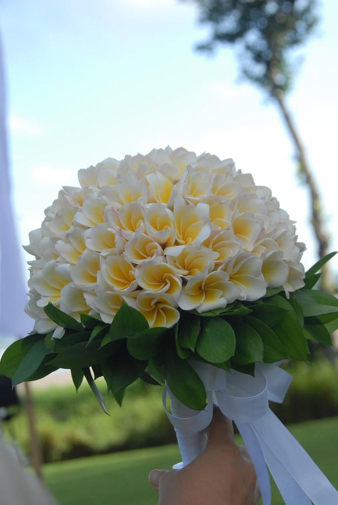 Frangipani Wedding hand bouquet Wedding hand bouquet from … Flickr