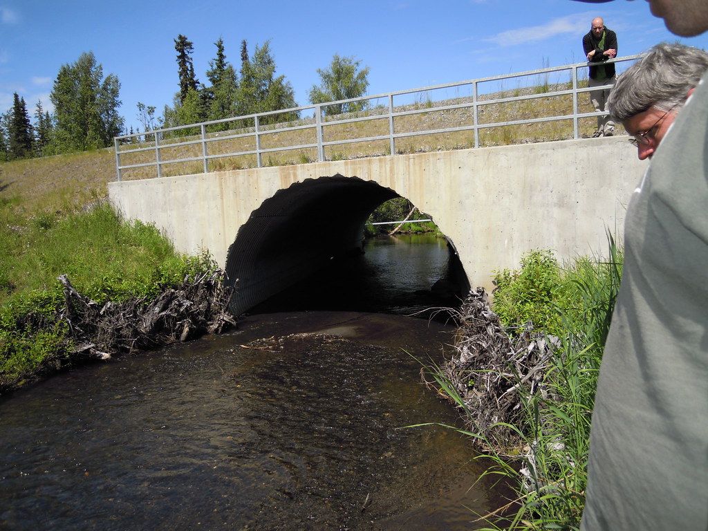 alaska Slikok Creek 2010 USFWS National Fish Passage Program Flickr