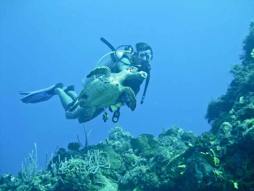 IMG_1300 CozumelPalancar Horseshoe Reef 07/20/2010 Rich Whitlow Flickr