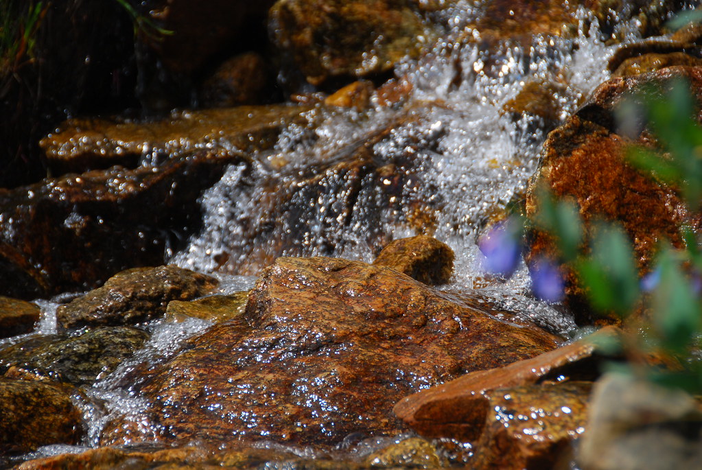 Colorado Alpine Snowmelt Stream On the trail from Fourth … Flickr