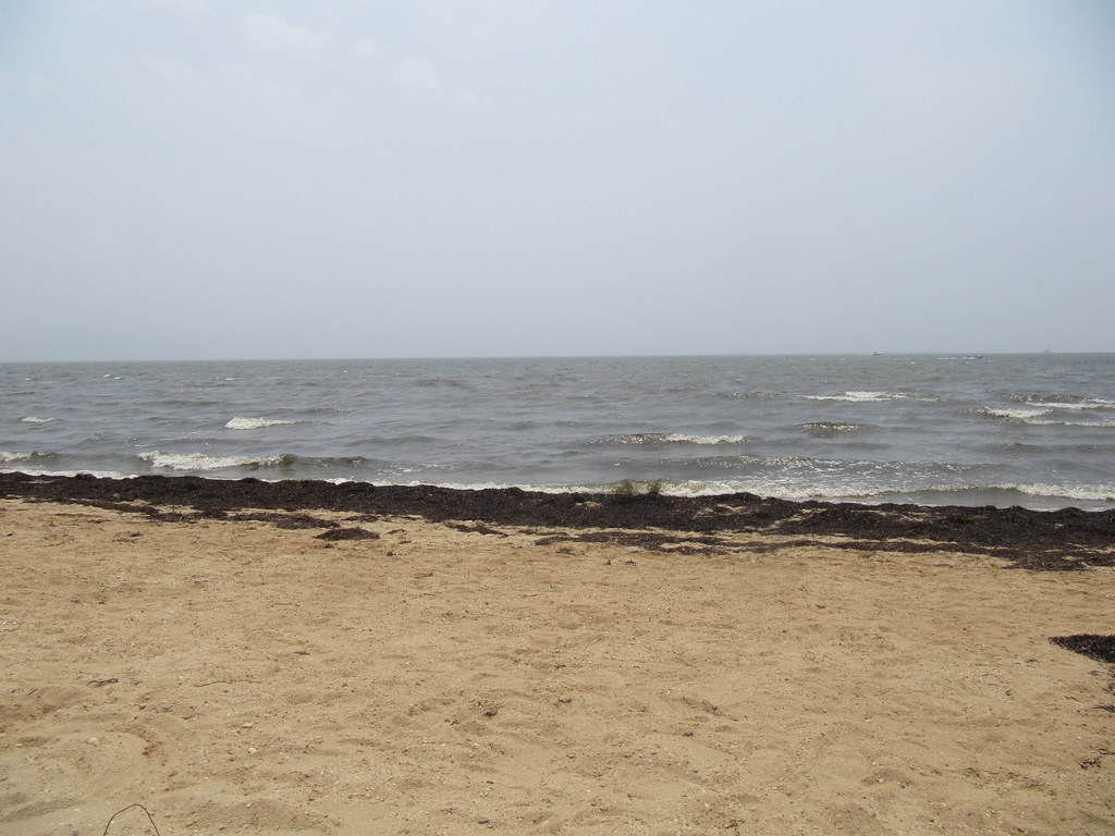 Grayscape Heckscher State Park, Great River, New York, Jun… Flickr