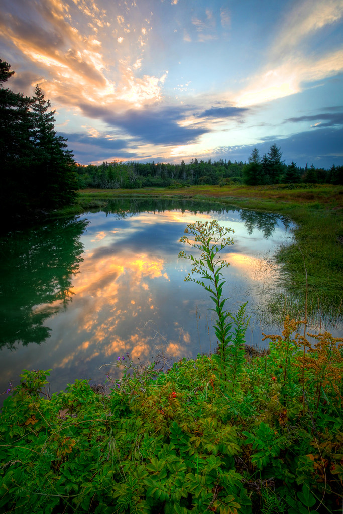 bass harbor marsh aug 18 west tremont maine, next to a bri… Flickr