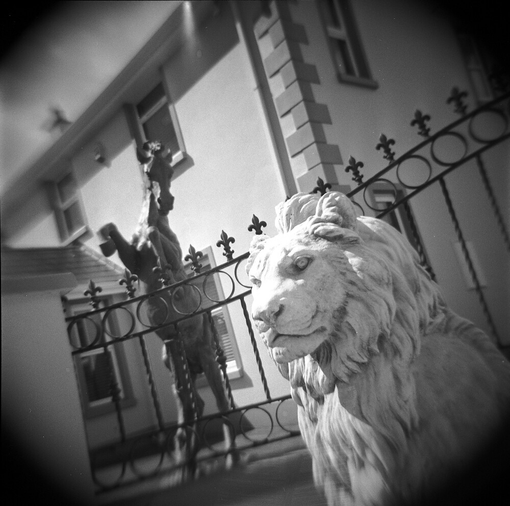 heraldry lion sejeant, horse rampant my new holga suffer… Flickr