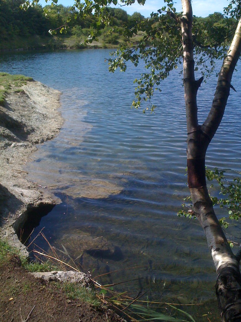 There's lots of Rudd in the lake at Cosmeston. No Gillard … Flickr
