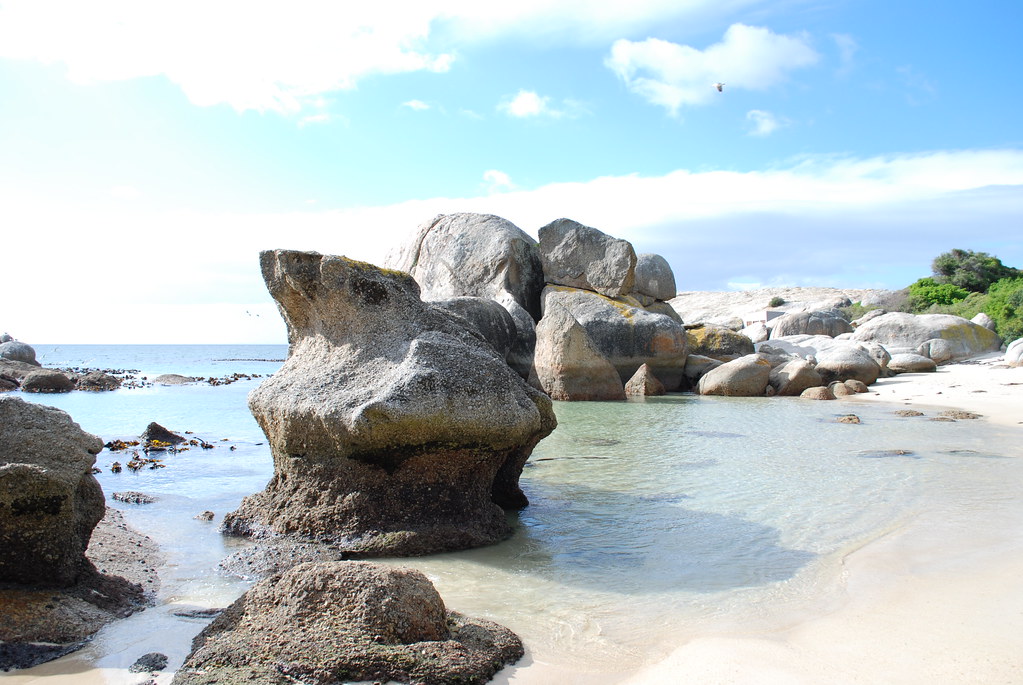 Boulders beach, Cape Peninsula Boulders Beach is a shelter… Flickr
