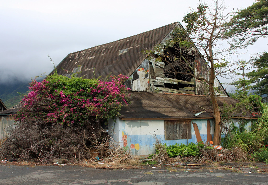 Pineapple Hut Old Pineapple Hut in Kaneohe CGDana Flickr