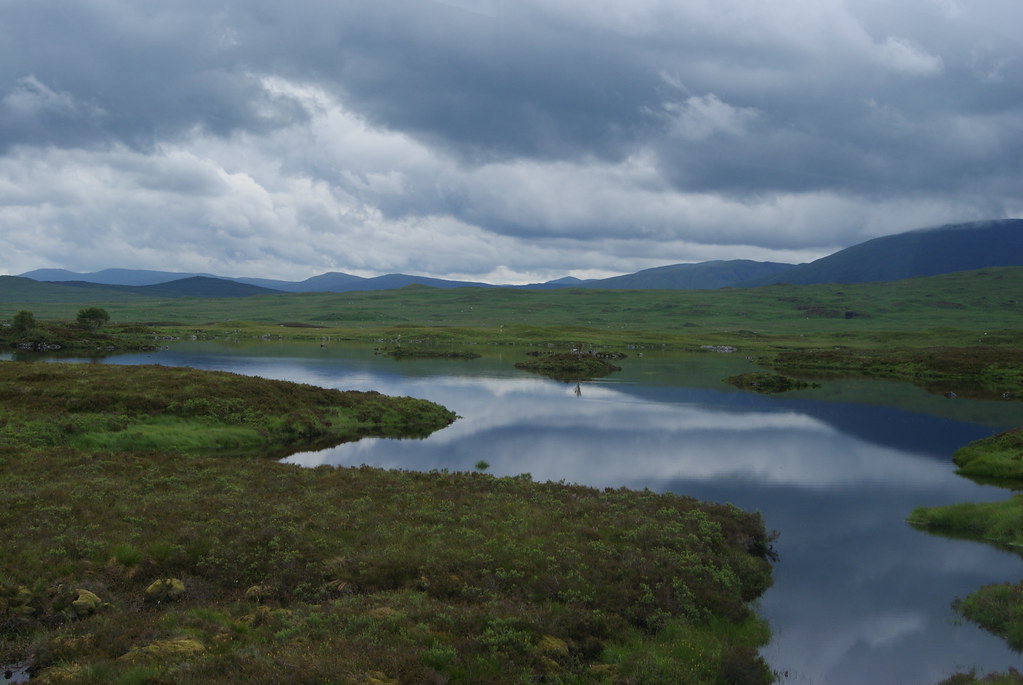 DSC02564 Buies Creek Correspondent Flickr