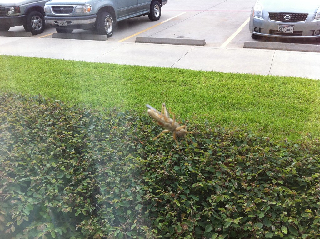 Nacogdoches, Aug 6, 2010 Uploaded with AirMe Aaron Headly Flickr