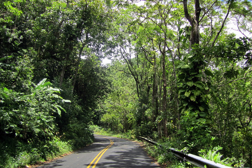 O'ahu Tantalus Road Wally Gobetz Flickr