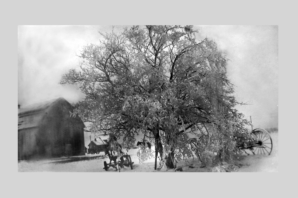 McCallum Farm McCallum farm in Colchester North south of G… Flickr