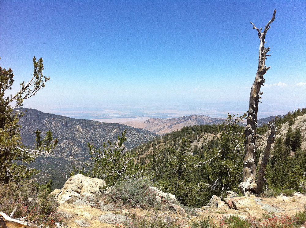 San Joaquin Valley as seen from the summit of Mt. Pinos Flickr