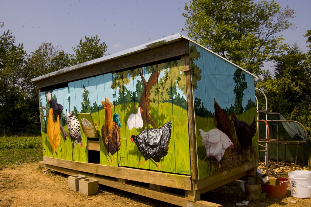 Mural (3/4 View) Mural painted on the chicken coop at Kaya… Flickr