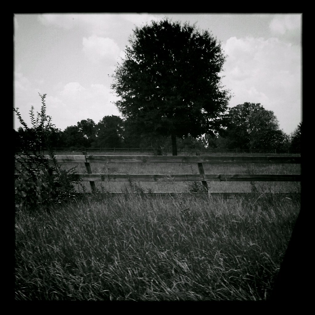 Elevation of Progress Rd, Poplarville, MS, USA Topographic Map