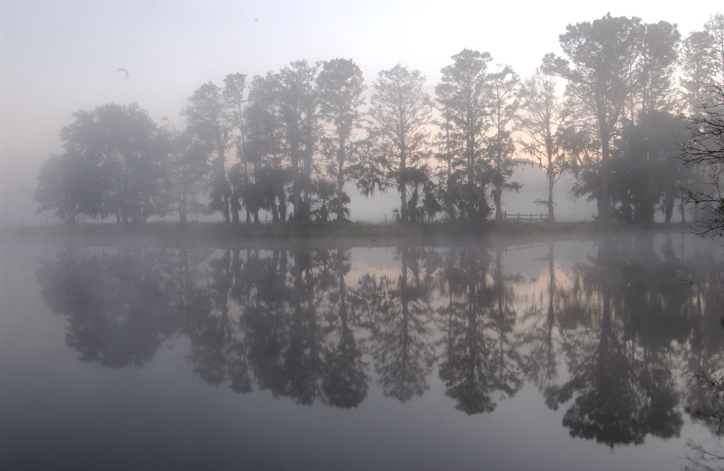 The Mysterious Lake Hatchineha Lake Hatchineha is a 6,665… Flickr