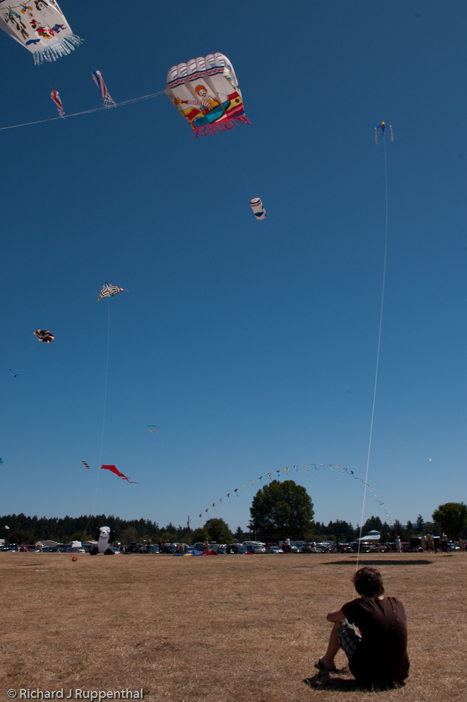 Kite Festival 2010 2 The Parksville Lions International … Flickr