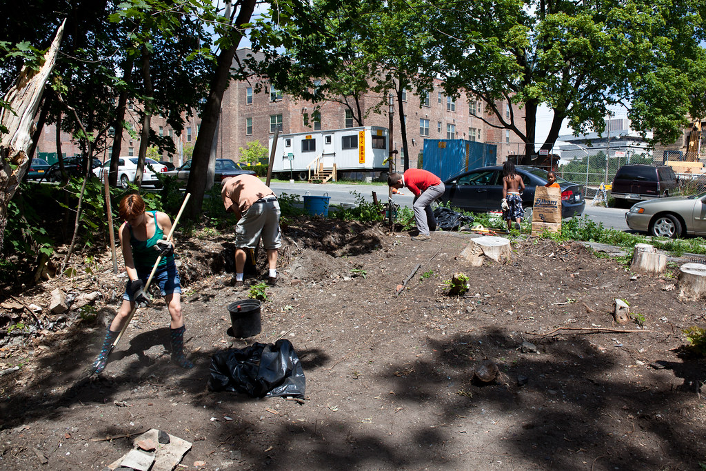 GSCA Vacant Lot Project (CR Permaculture Guild) Albany, … Flickr