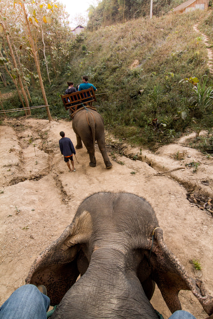 Elephant Riding, Laos www.gdecooman.fr portfolio, stages… Flickr