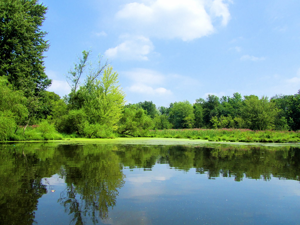 Rogue River by Canoe John and I went on a 2hour canoe tri… Flickr