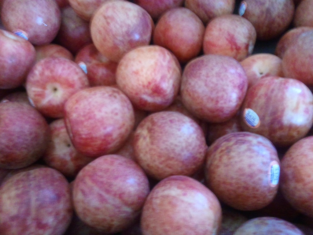 blood plums we bought blood plums for jam making at flemin… Flickr