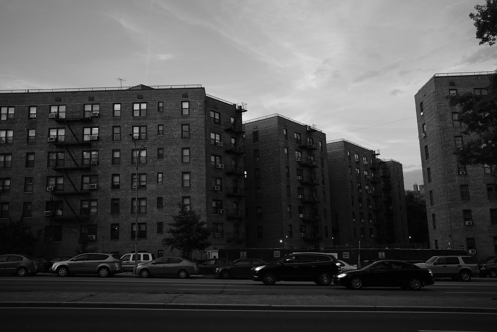 DSCF2070 M. Paluch Flickr