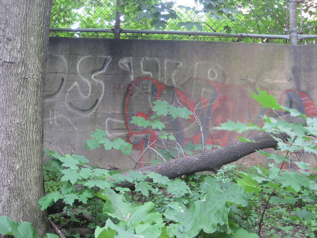 IMG_5522 Locke Street South behind Starbucks 1 KristinaMichor Flickr