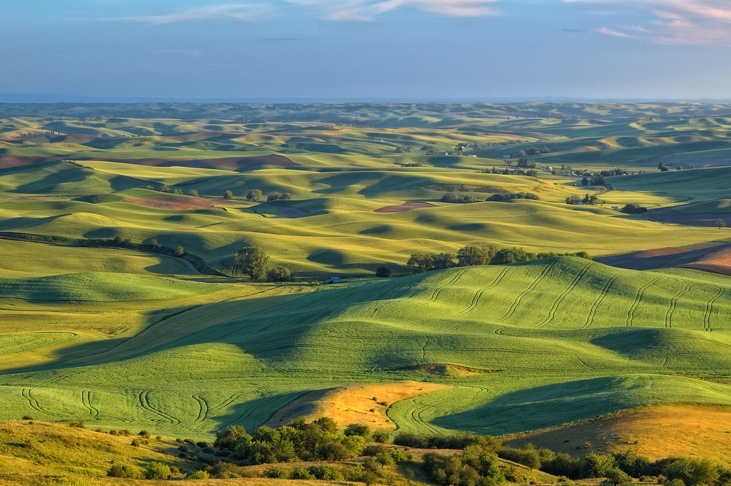 Palouse Prairie and Other Grasslands of SE Washington Flickr