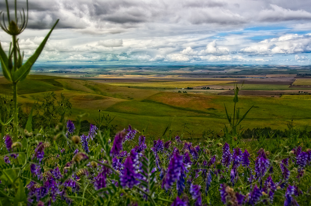 Elevation of Weatherby, OR, USA Topographic Map Altitude Map