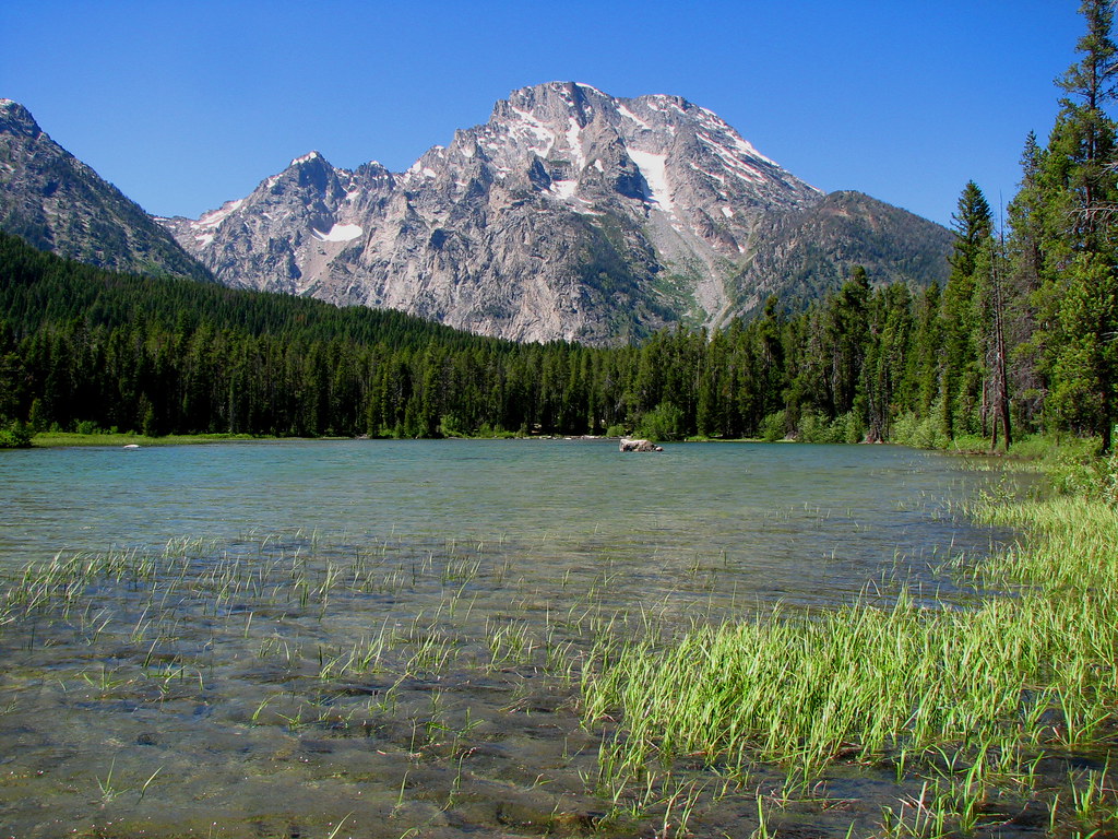 Grand Teton National Park Mt Moran and Spring Lake. Flickr