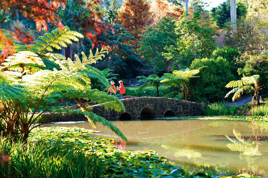 mt tamborine escarpment botanic gardens plan… Flickr