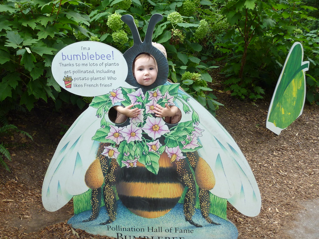 Bronx Zoo's Butterfly Garden Eric Carle's interactive exhi… Flickr