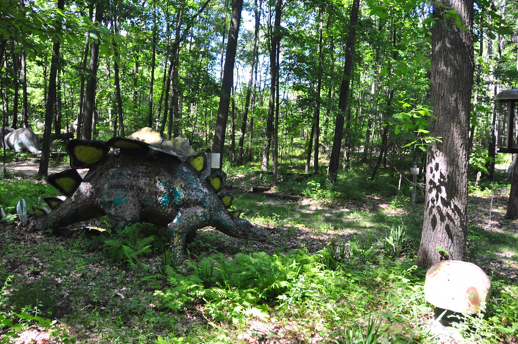 Prehistoric Forest Located in Onsted, MI steven michael holmes