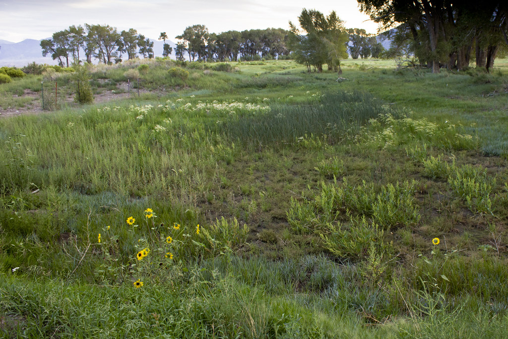 zapata ranch golf course returns to the prairie The Zapata… Flickr