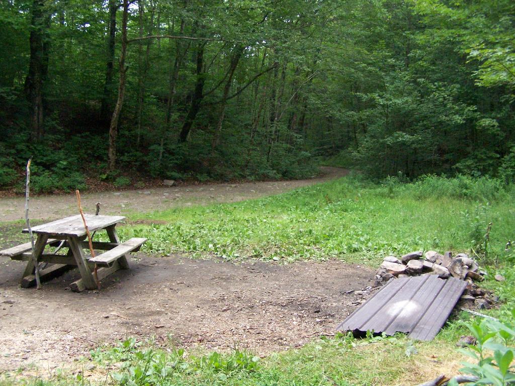 Campsite Off On a Loop at Moose River Plains Andy Arthur Flickr