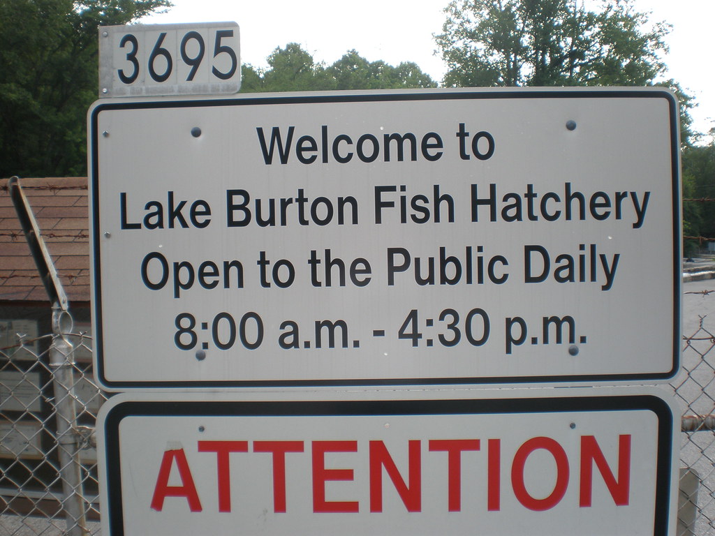 Lake Burton Fish Hatchery, Clarkesville, GA These pictures… Flickr