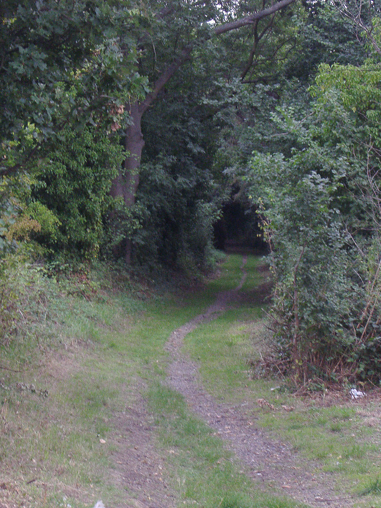 Long Ditton path2_edited David Howard Flickr