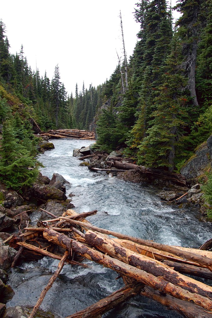 Garibaldi Lake Hike Garibaldi Lake Hike Andriy Baranskyy Flickr