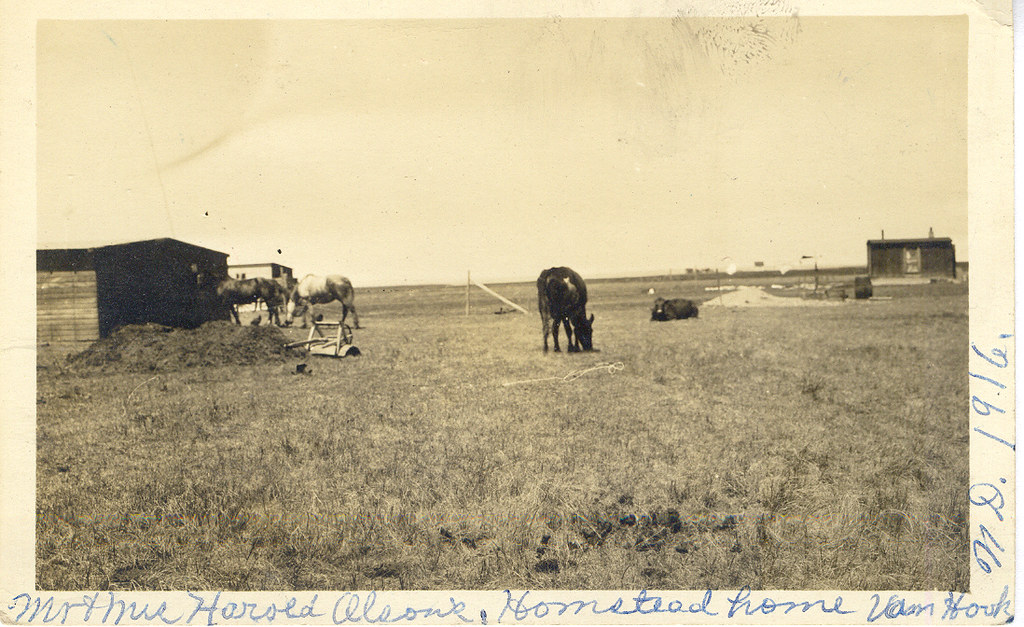 Van Hook, North Dakota, Harold Olson Farmstead 1916. photolibrarian