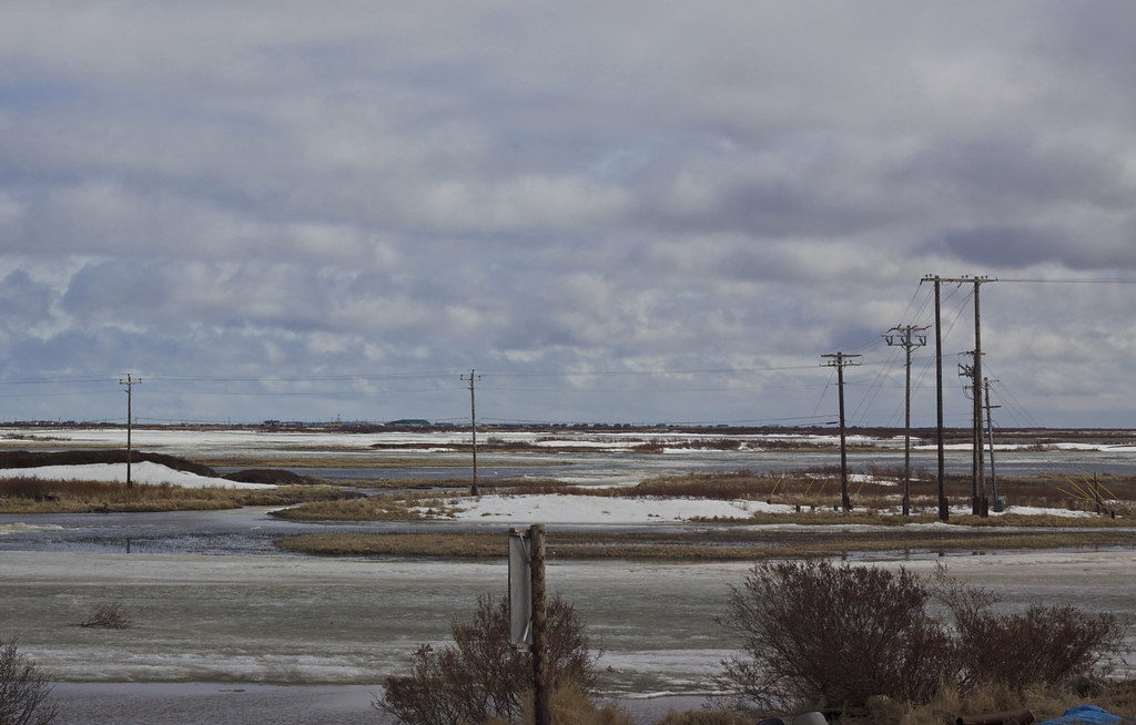 Across to Nunapitchuk Looking across the tundra to Nunapit… Flickr