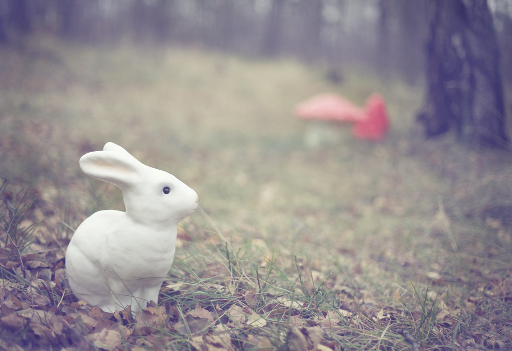 Egmont Lamp Rabbit Anna Eroma Flickr