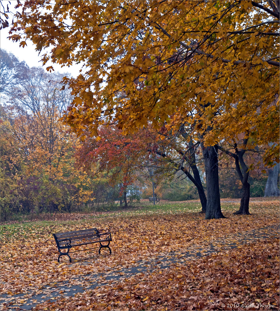 Sayville, Long Island Sayville Town Park Alida Thorpe Flickr