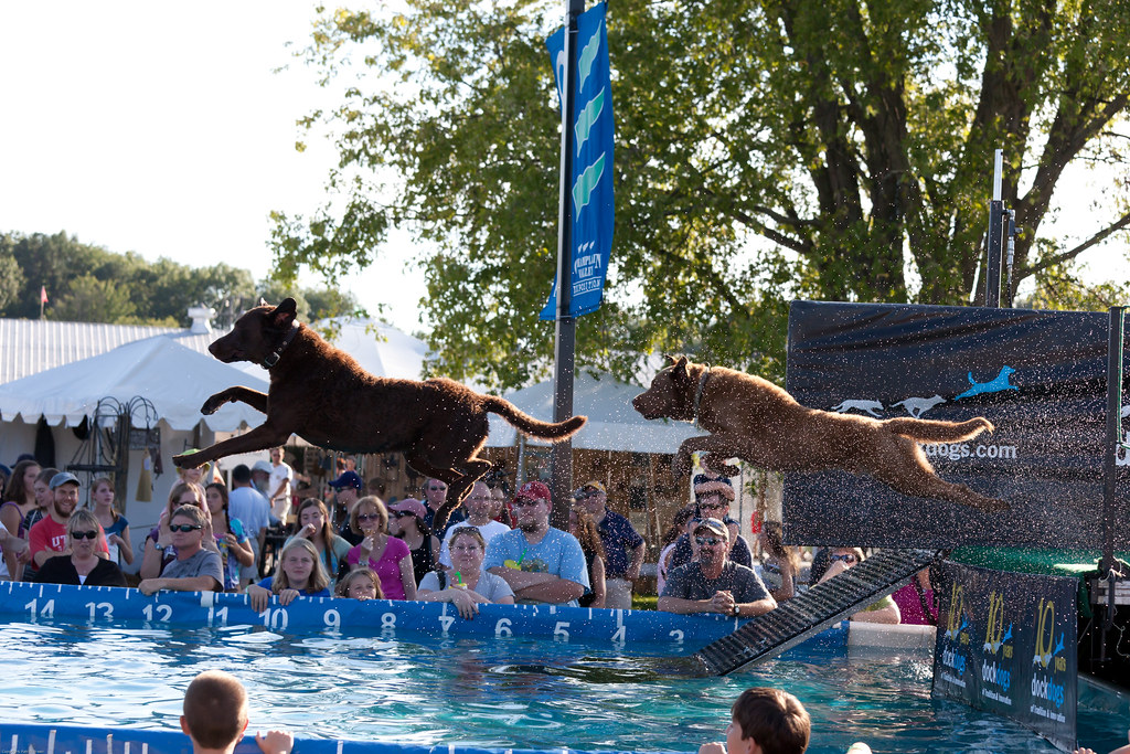 Big Air Dog Jumping Contest Brother and sister do a double… Flickr