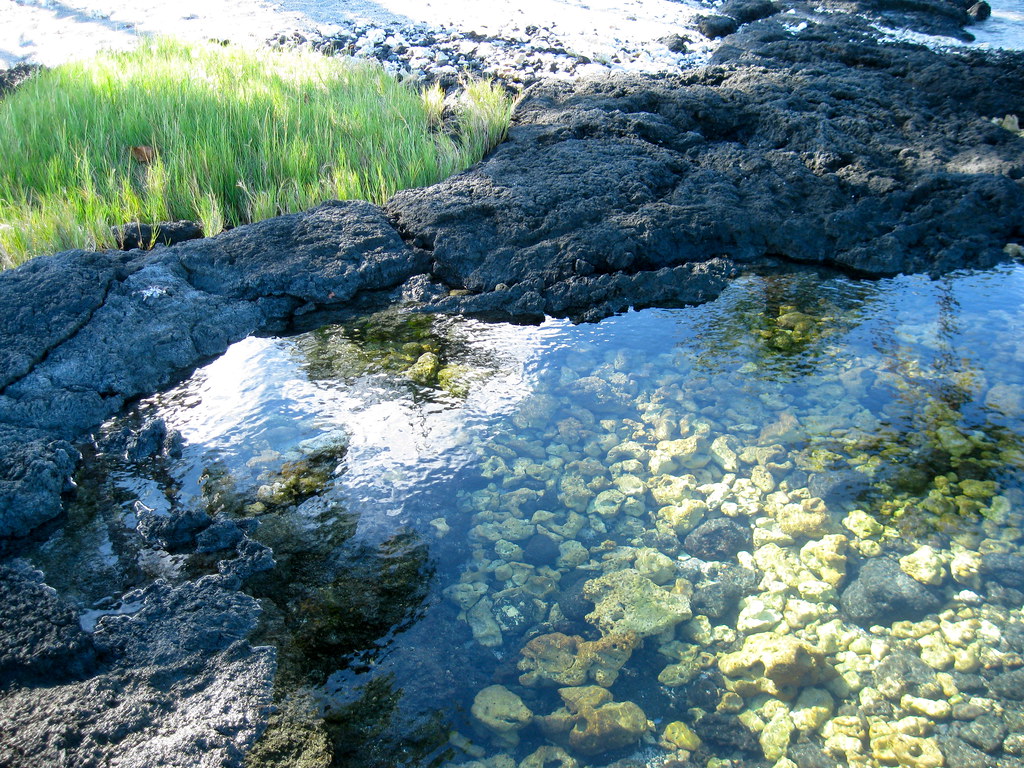Tidal Pond, Mauna Lani Bay Photos from a Sunday wandering… Flickr