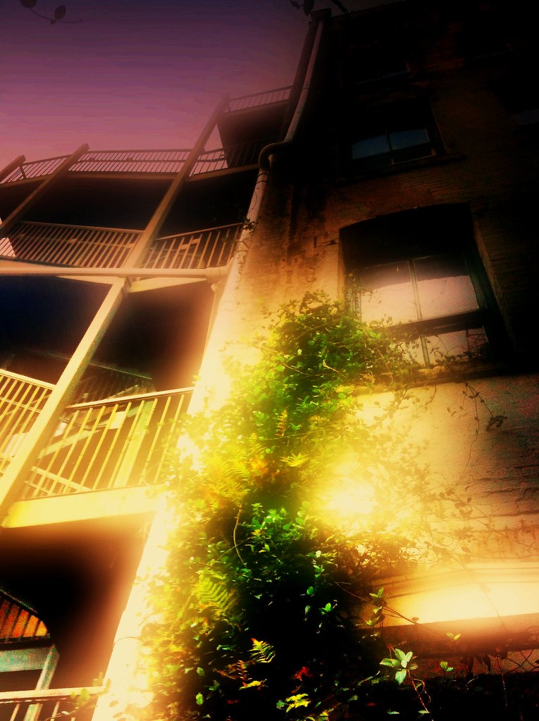 Urban Crawl Edgar Cuevas Artist Edgar Cuevas Location H… Flickr