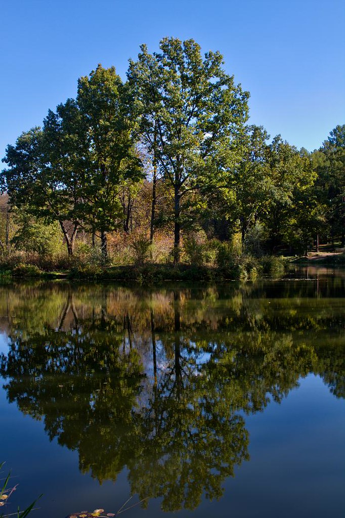 Wood lake Autumn photo of coast of wood lake. Sergey Ivanov Flickr